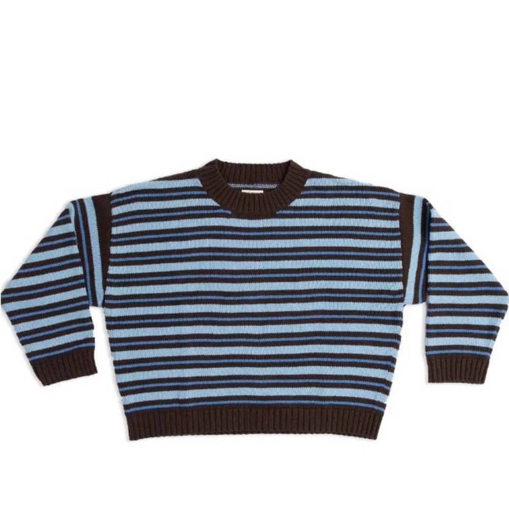 James Street Co Striped Blue and Brown Women's Sweater